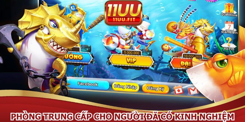 Phòng cược trung cấp dành cho người đã có kinh nghiệm