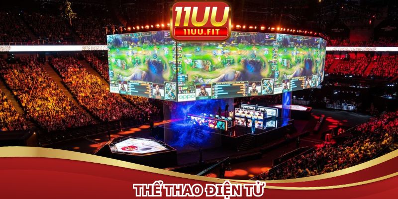 Các bộ môn thể thao tại 11UU hot nhất