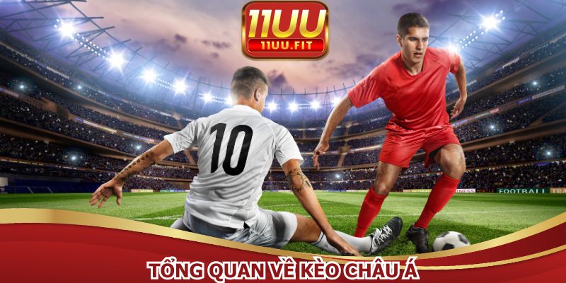 Hình thức cá cược đơn giản cho tân thủ