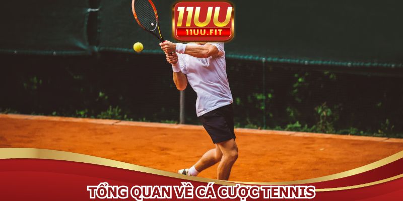 Hội viên dễ dàng tham gia cá cược hơn