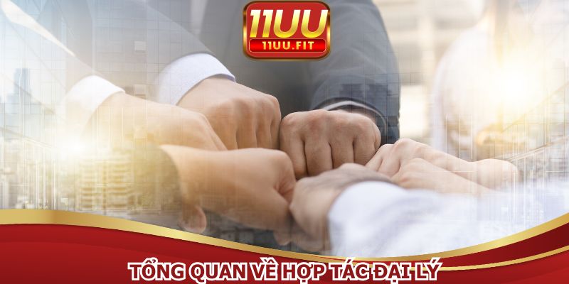 Hợp tác đại lý là một chương trình hay