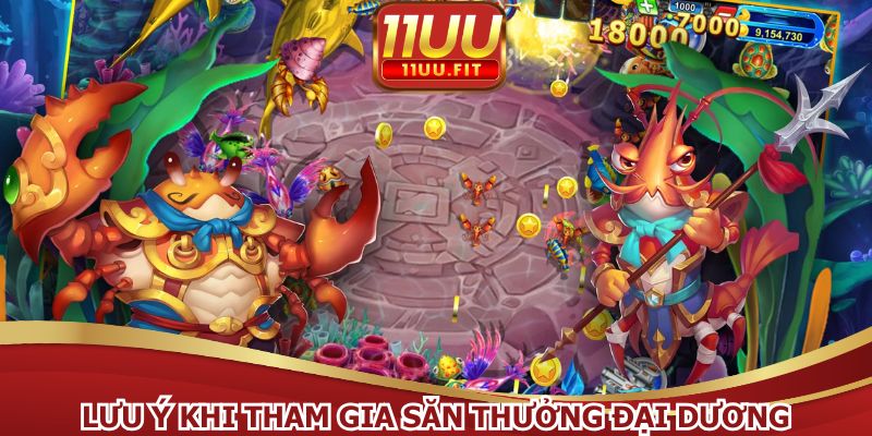 Lưu ý cần nhớ khi tham gia săn thưởng đại dương