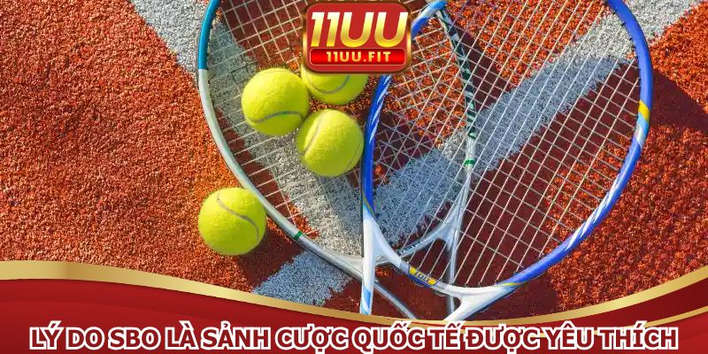 Lý do SBO là sảnh cược quốc tế được yêu thích