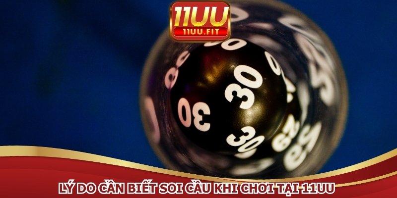 Lý do cần biết soi cầu khi chơi tại 11UU 