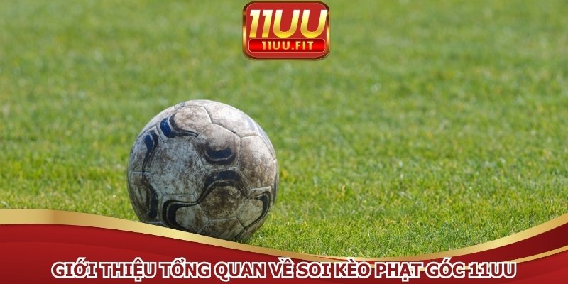 Giới thiệu tổng quan về soi kèo phạt góc 11UU