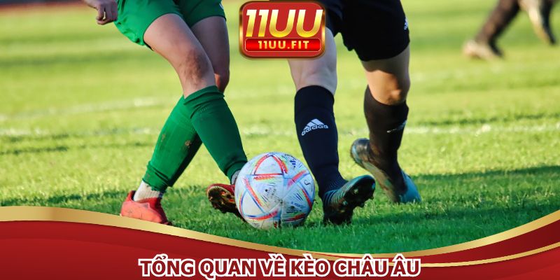 Tân thủ tham gia cá cược dễ dàng